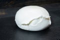 ÃÂ¡heese collection, one big ball on soft white italian mozzarella bufala cheese Royalty Free Stock Photo